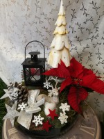 /album/fotogalerie-vanoce/img-20191210-123758-jpg/